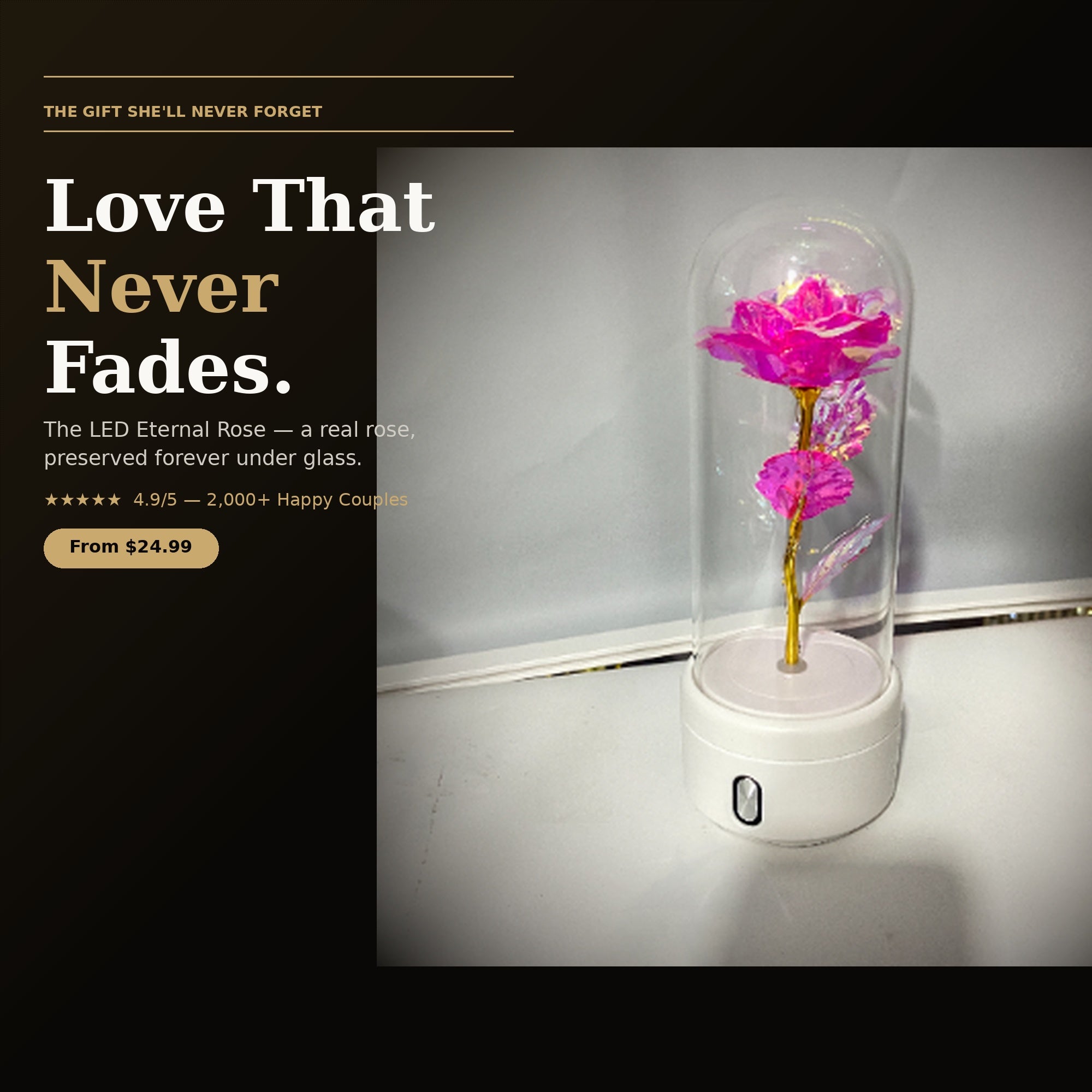 LED Eternal Rose Glass Dome - hero product shot
