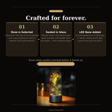 How the LED Eternal Rose Glass Dome works