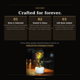 How the LED Eternal Rose Glass Dome works