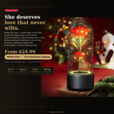 Order your LED Eternal Rose Glass Dome today