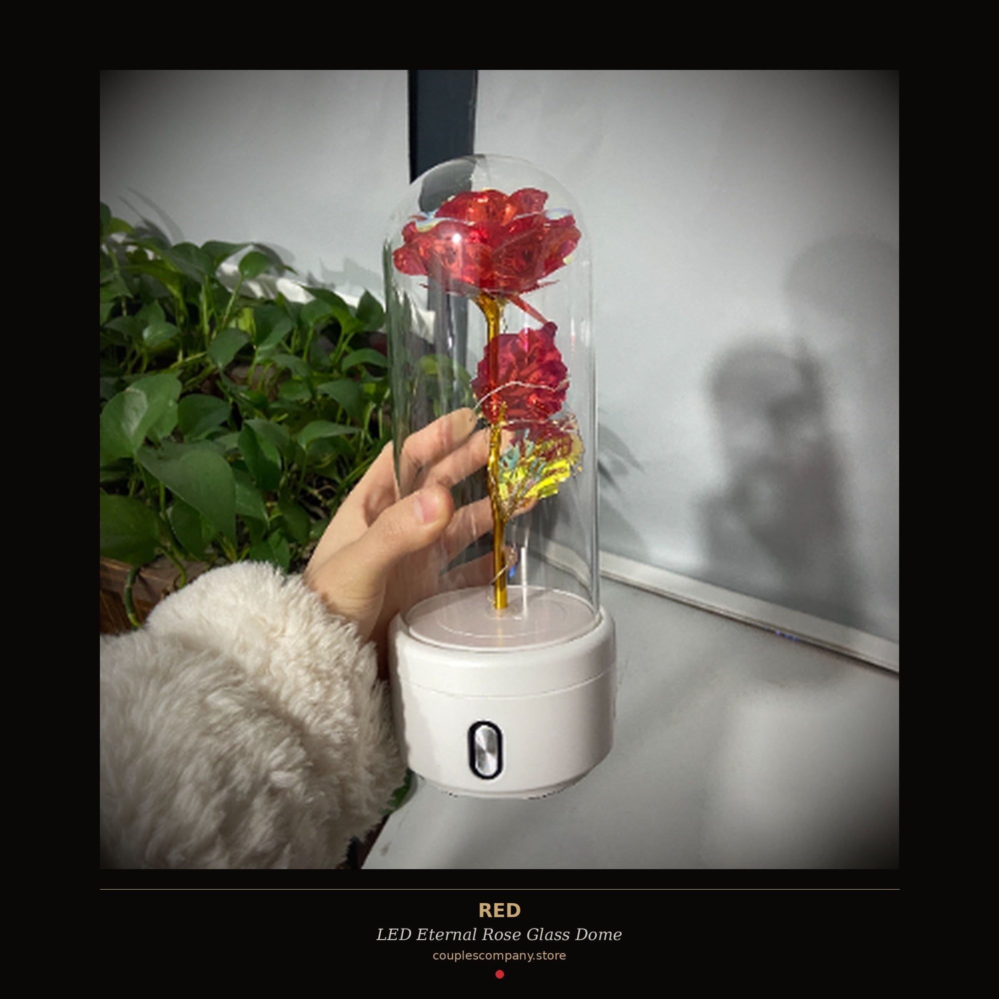 LED Eternal Rose Glass Dome - Red variant