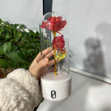 The Matching Pair bundle - Red dome