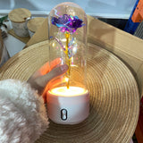 LED Eternal Rose Glass Dome - Violet variant